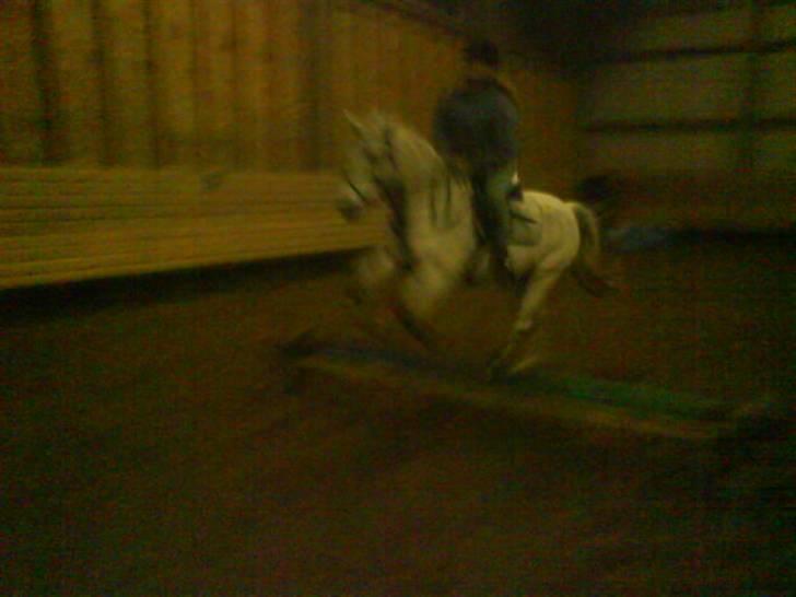 DSP Mascot-My soulmate<3 - Spring i ride huset SØB-06 billede 6
