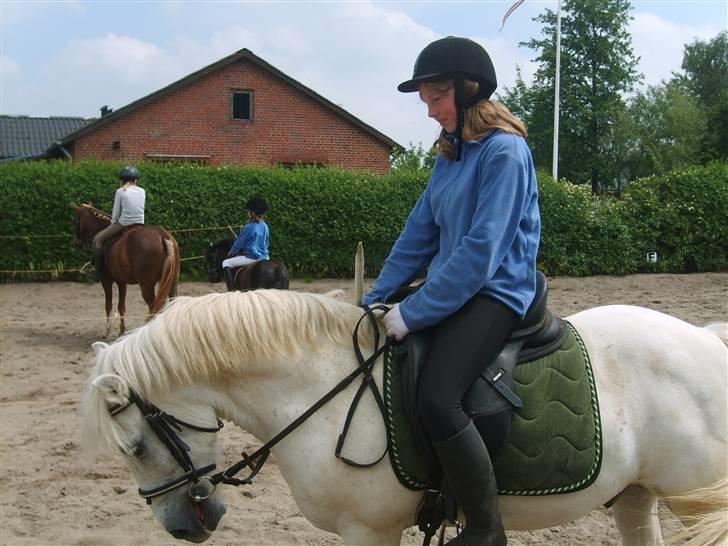 Anden særlig race Sibon - ser han ikk flot ud ? elsker dig min engel :):):) billede 6