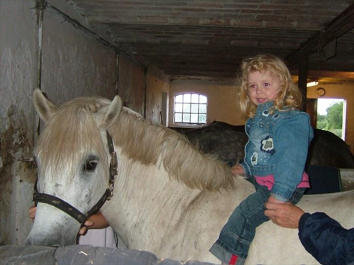 Anden særlig race Sibon - sibon og min niece :´) mega gammelt billede.. <3 billede 8