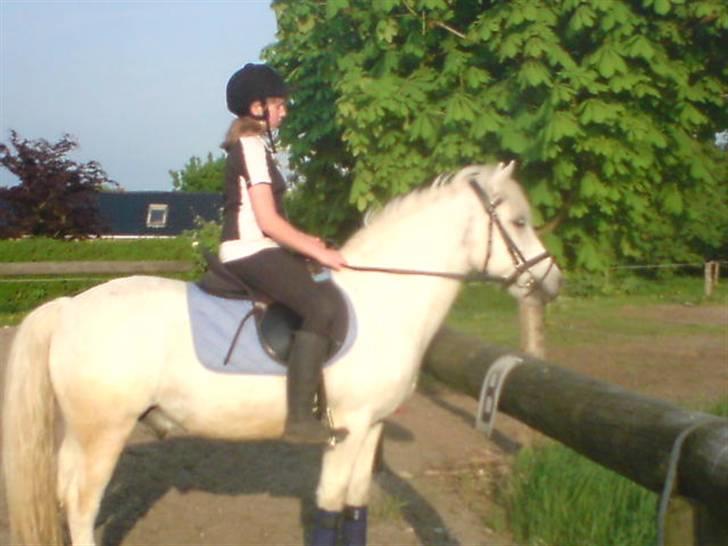 Anden særlig race Sibon - Er han ikk bare smuk?? billede 11