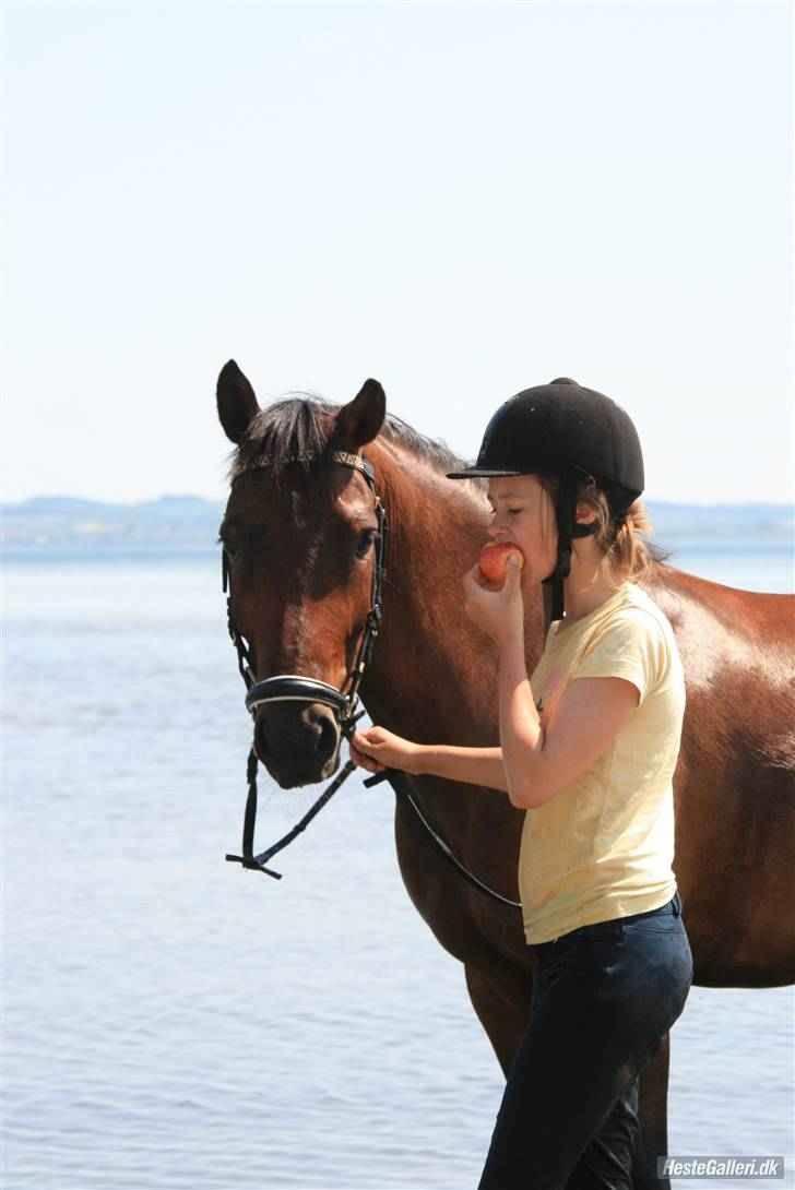 New Forest Ganymedes Dyrekjær - Ganymedes Dyrekjær :) ved vandet d. 8 juni 2008 :D billede 4