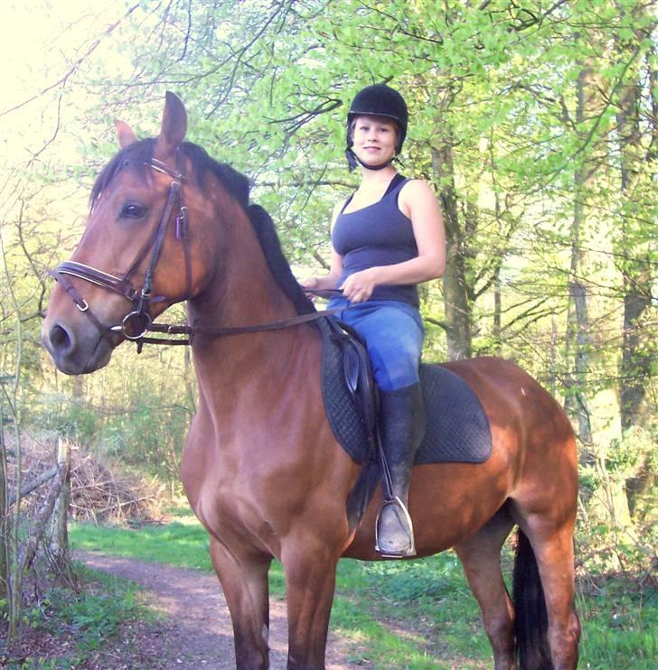 Anden særlig race Eldorado billede 1