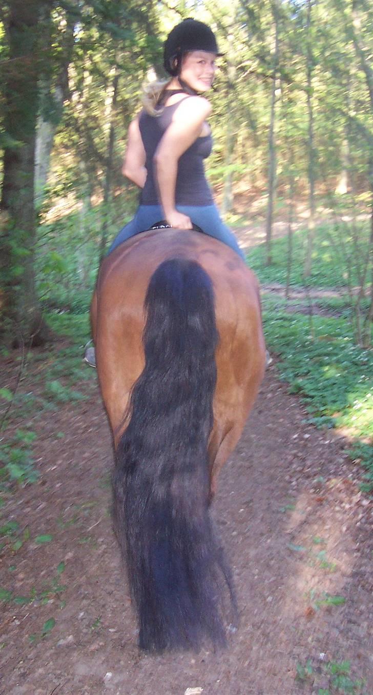 Anden særlig race Eldorado - Barbie-hale :o) billede 5