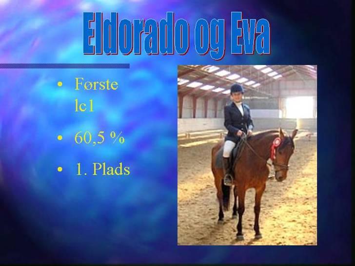 Anden særlig race Eldorado billede 7