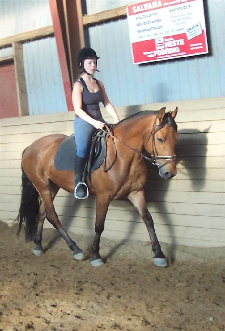 Anden særlig race Eldorado billede 11