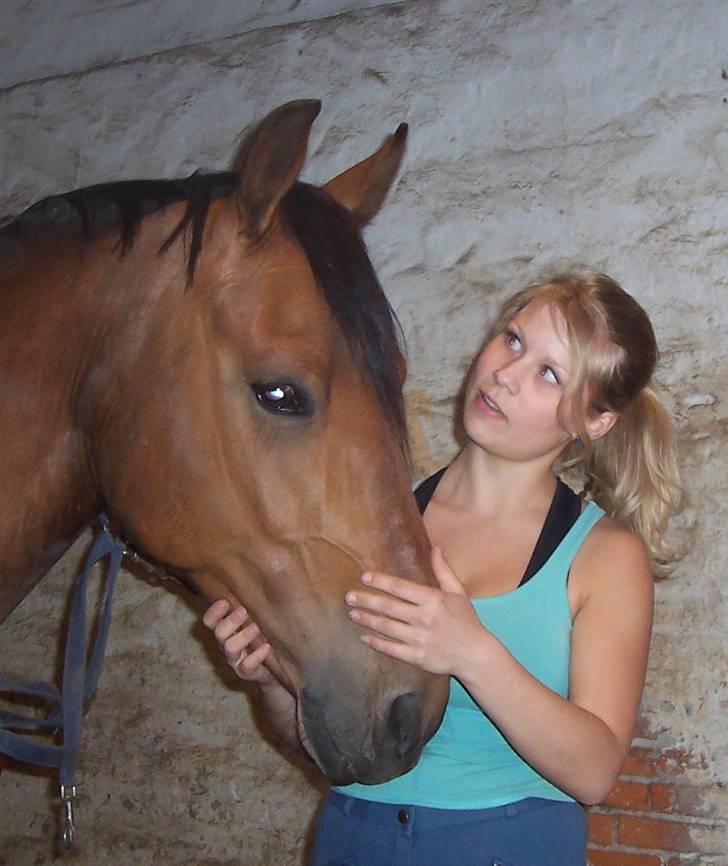 Anden særlig race Eldorado - Eldorado og mig billede 17