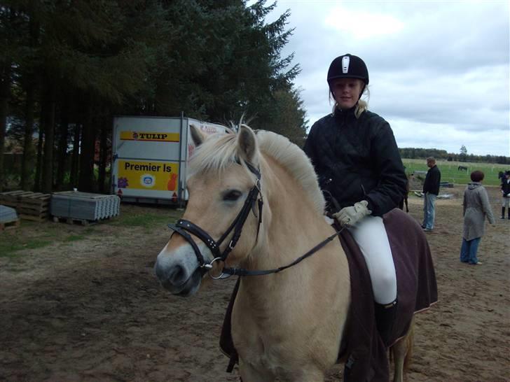 Fjordhest bell - miq oq musen liqe færdiq med at ride stævne<33 billede 17