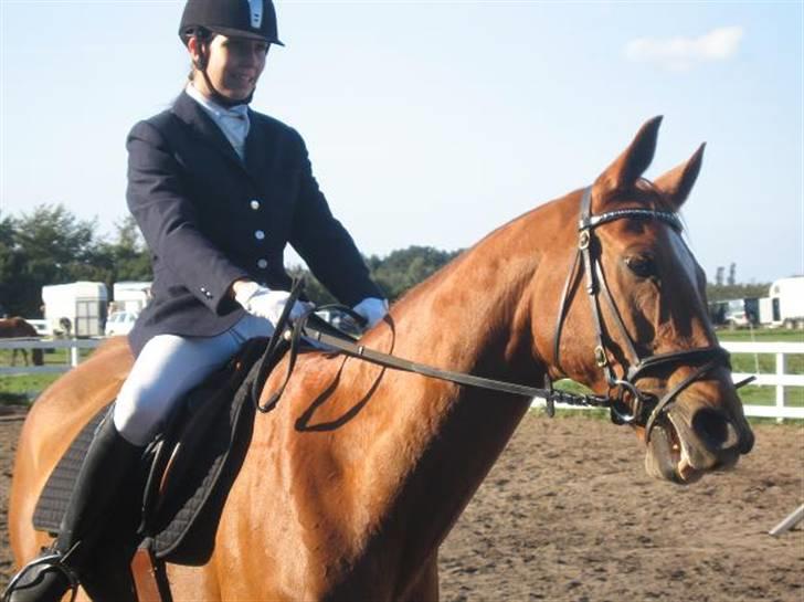 Dansk Varmblod Arrogant (gammel part) - Elsker at ride ham... billede 8