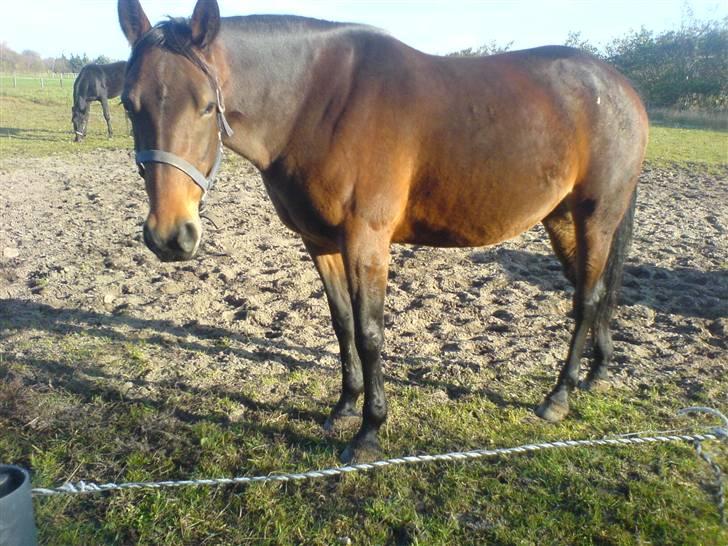 Traver Kimerbly Blaabjerg - Tykke Kimberly :P billede 6