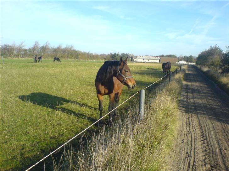 Traver Kimerbly Blaabjerg - Kimberly - forladt og alene (Hun mente ikke de andre skulle med på billedet) (: billede 7
