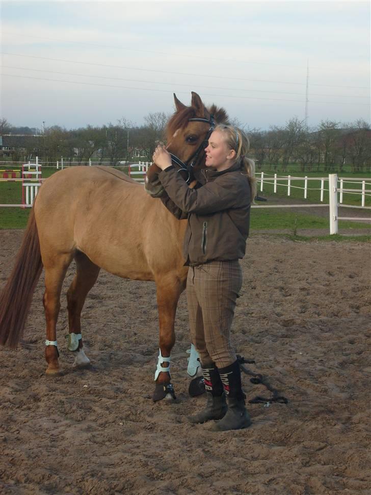 Anden særlig race Shadow af Grandlygard RIP - #1 Jeg vil foraltid elske dig minshadow.. Du betyder alt for mig.. Jeg glæder mig så ufatteligt meget til vi ses igen.. Du er mit et og alt! Jeg elsker dig! billede 1