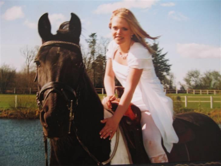 Pinto Freja SOLGT - #7 Freja Og mig Til min Komfi, d. 18 april 2008(; (Sorry kvaliteten, dette billed er taget fra et andet billed) billede 7