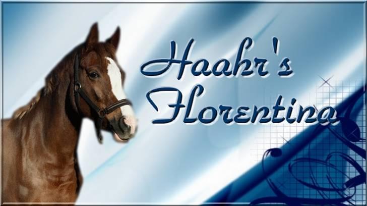 DSP Haahr's Florentina - Haahr`s Florentina billede 1