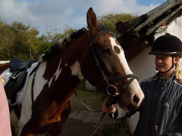 Anden særlig race Miss MoonLight - Charme, selvtillid og lækkert hår!!:D  billede 10