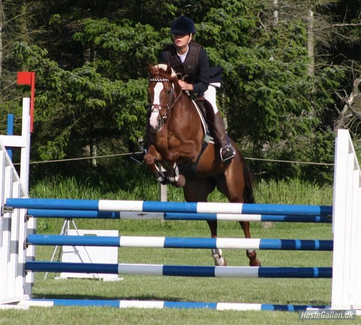 Welsh Pony (sec B) Creekmanns Cherie - LA i vrendsted.<3 søde tubbe, som var SÅ tæt på at vinde klassen.<3 billede 1