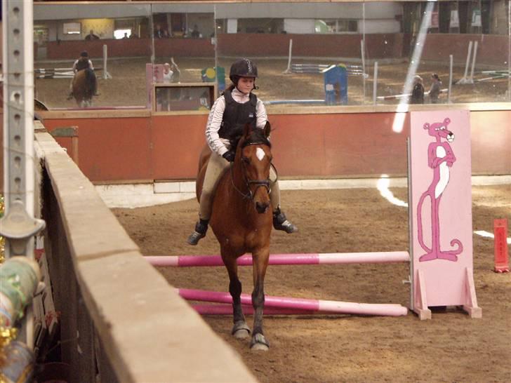 Dansk Varmblod Vestergaardens Limone  - RIP <3 - Mig og Mone til showstævne =p billede 2