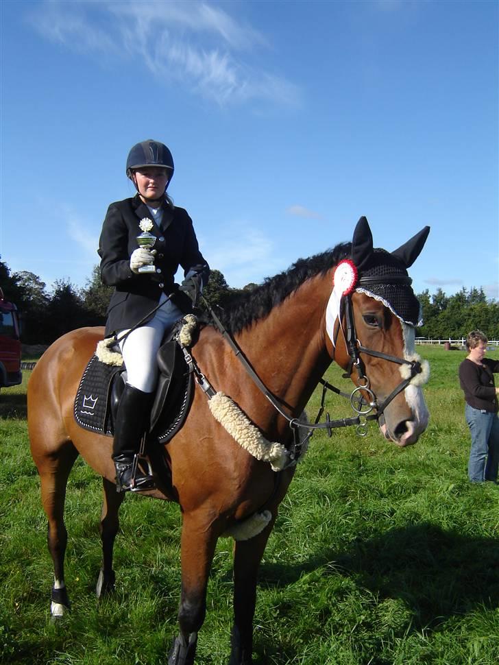 Dansk Varmblod welt-sohn R.I.P 2002-2009 - Vinder af midi cuppen 2007. billede 11