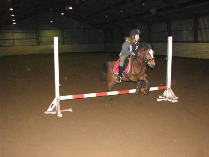 Anden særlig race Freja - vi springer et lille hop:-) foto: min mor billede 3