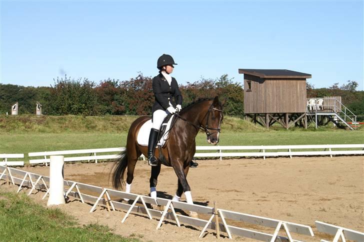 DSP bento(var låne pony) billede 1