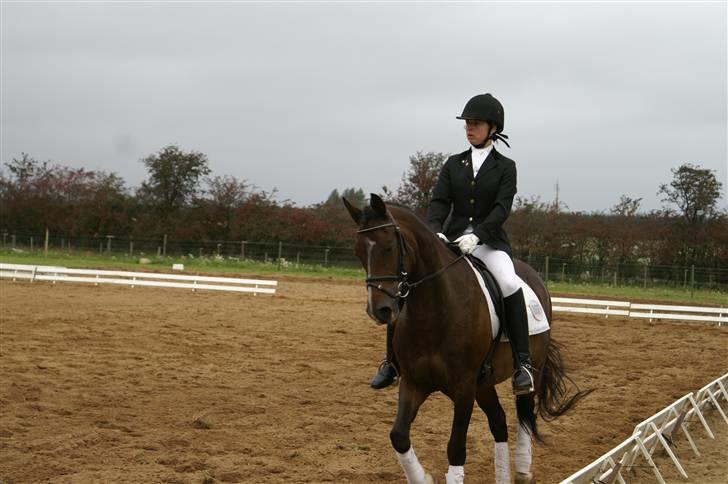 DSP bento(var låne pony) billede 6