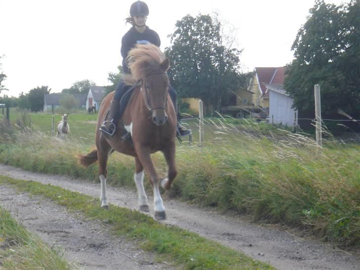 Islænder Saga fra Ankerly - Saga og mig ;D . Galop :D . billede 5