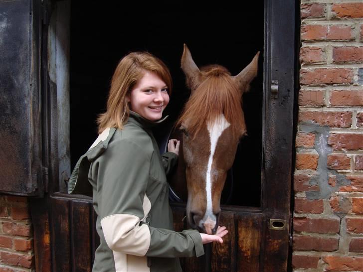 Arabisk fuldblod (OX) Ffazeehrah - Hei Faz <3 16 marts 08   Fotograf: Mor billede 4