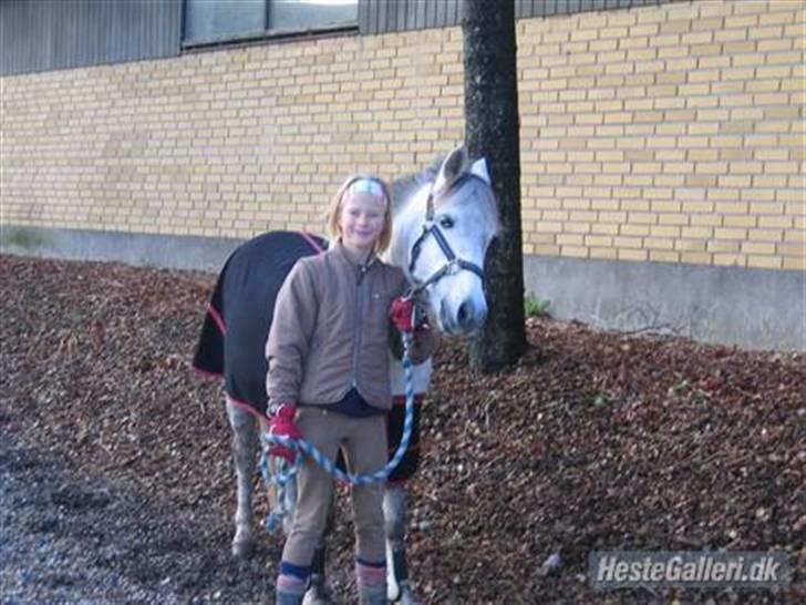 Anden særlig race sille - Solgt - Savner diig min skatte ... <33 ;) billede 15