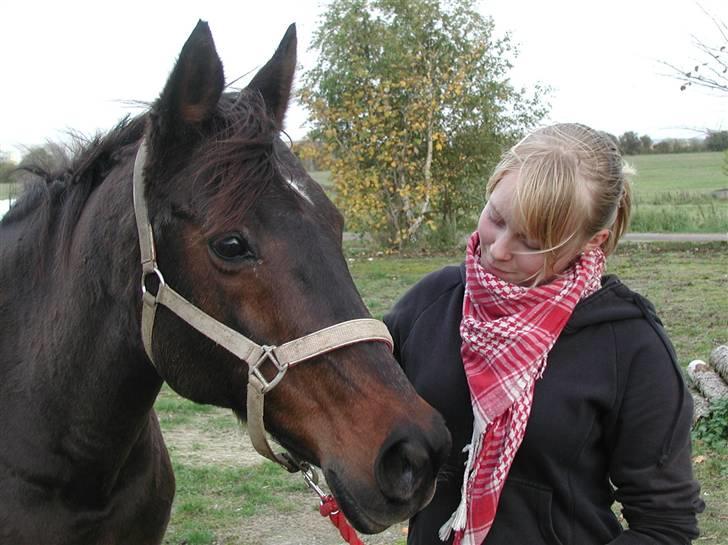 Anglo Araber (AA) BINE - Min skønne Bine og mig :D Foto: Mette billede 2