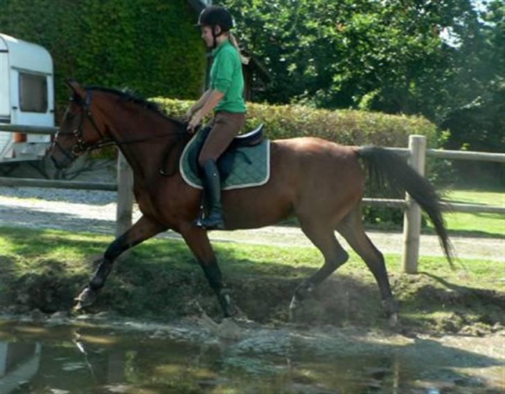Traver Kalibra Orholm - Ja selv vand er småting - Bare der er nok af det billede 4