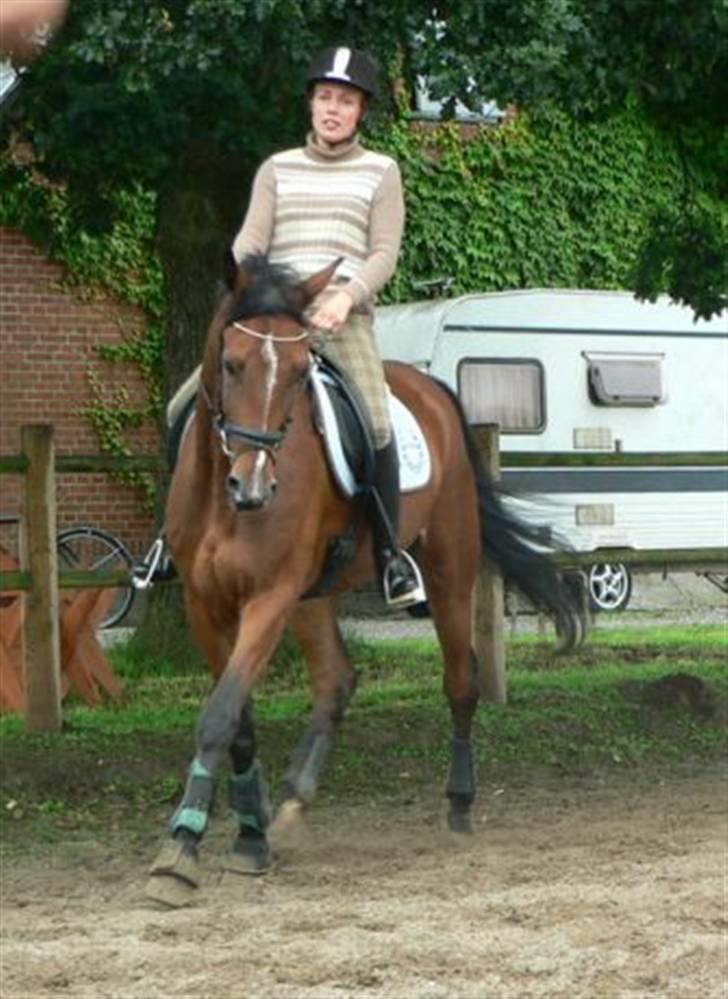 Traver Kalibra Orholm - Dressurundervisning skal der til...  billede 5