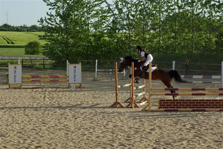 New Forest Balarina<3 - SOLGT :'/ - LB på koor (L) gik ok godt (L) elsker den pony ! (L) <3333333333333333 billede 15
