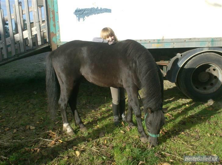 Anden særlig race timo ¤solgt¤ - man kan altid spise mere billede 7