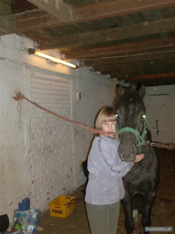 Anden særlig race timo ¤solgt¤ - han er da sød billede 9