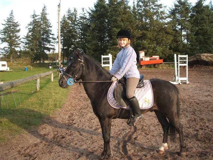 Anden særlig race timo ¤solgt¤ - kom så billede 13