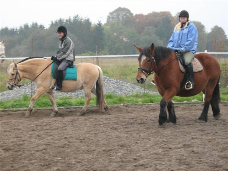 Belgier Bell,,  billede 8