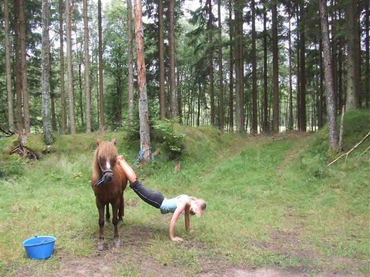 Anden særlig race $¤Chevy¤$ BÆVEREN XD - Hvad laver hun...? Mennesker!         billede 7