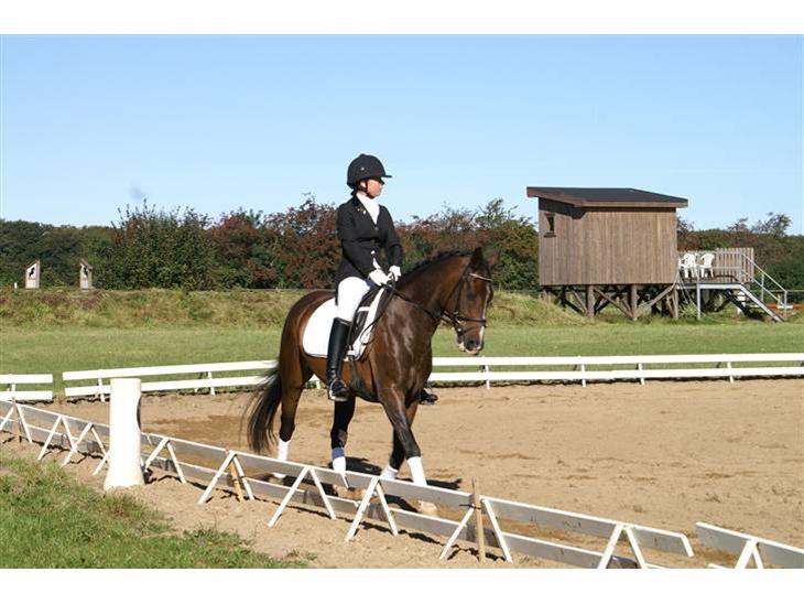 {{currentPhoto.altText}} billede {{currentPhoto.number}}