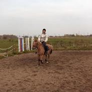 Anden særlig race Bøgeholm Bonnie