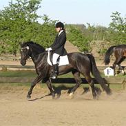 Oldenborg Lady Daphny    *Solgt*