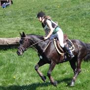 Oldenborg Lady Daphny    *Solgt*