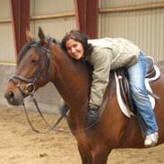 Anden særlig race Twister