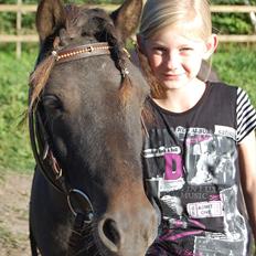 Anden særlig race Pondine