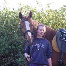 Dansk Varmblod FamieGirlR.I.P :'( <3!