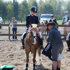 Irish Cob sjors, SOLGT;*(