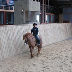 Hollandsk Sportspony FURRY **aflivet**