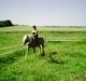 Haflinger TROJA W