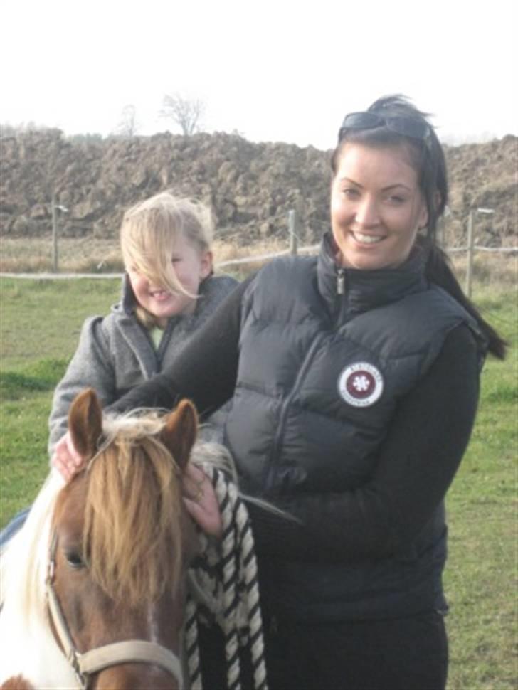 Shetlænder Pony Margrethe  billede 7