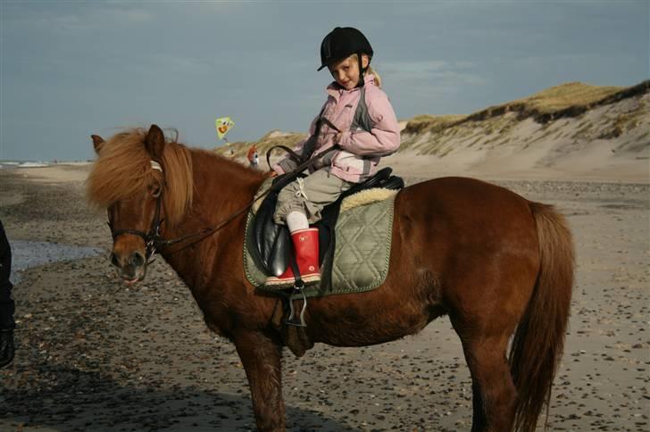 Islænder "¤"fregna"¤" R. I. P. - mig og lille malle billede 4