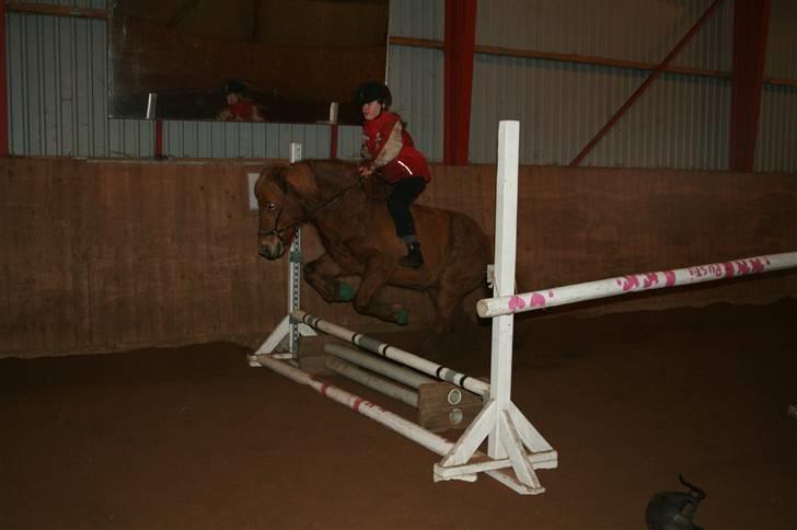 Islænder "¤"fregna"¤" R. I. P. - hopsaa sammen med cille billede 12