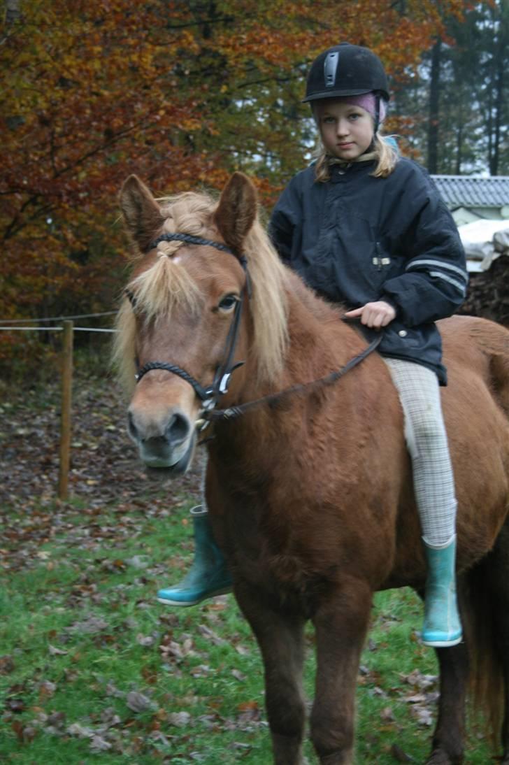 Islænder "¤"fregna"¤" R. I. P. - jeg er skøn ikk billede 15